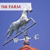 The Farm